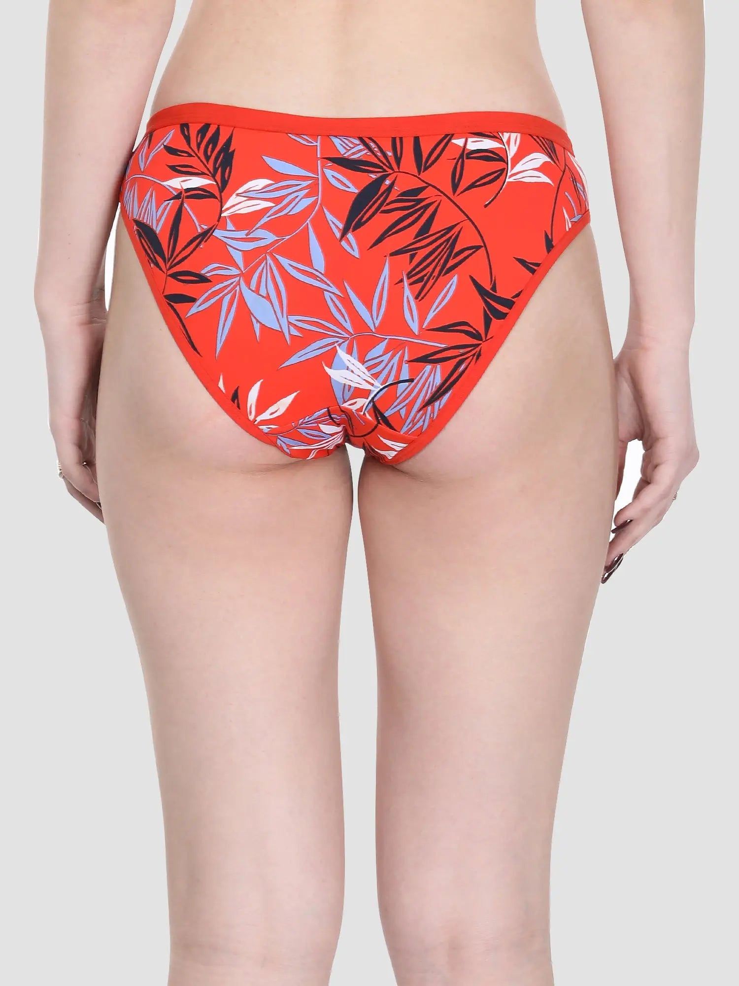 CUDDLE Low waist Panty (Pack of 3) Vancia