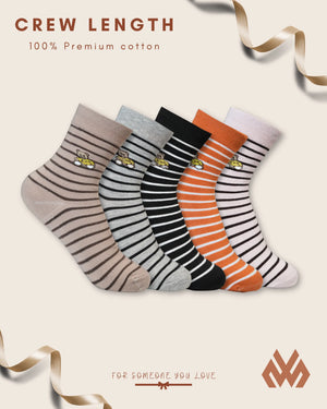 Cup Cake Socks Teddy Striped - Gift Box Mikado